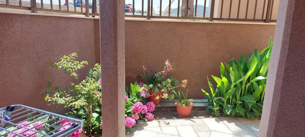 Stavros House Apartment Sarti Exterior photo